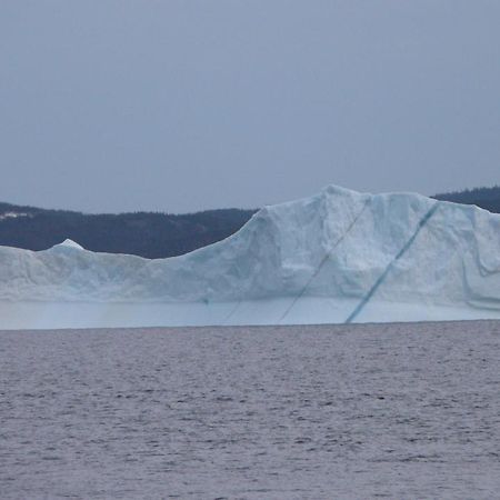 Tranquility Hill B & B Twillingate Buitenkant foto