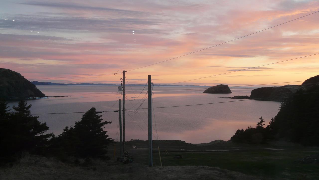 Tranquility Hill B & B Twillingate Buitenkant foto