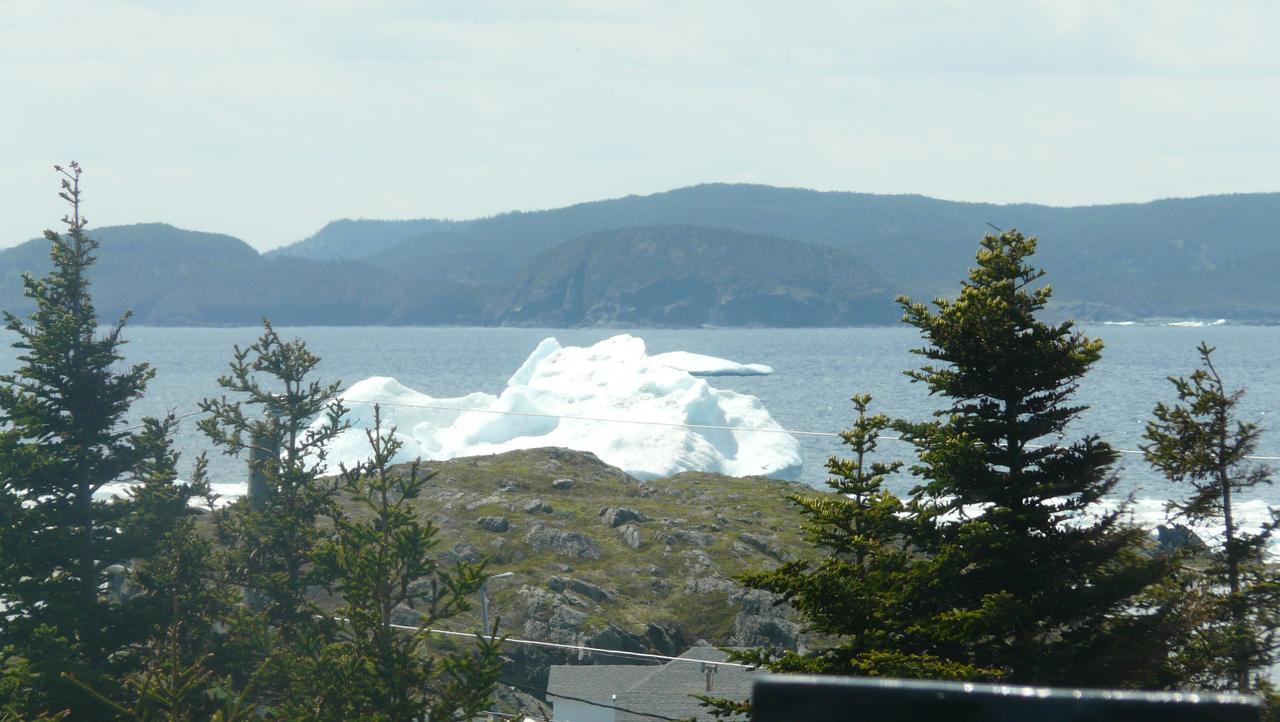 Tranquility Hill B & B Twillingate Buitenkant foto