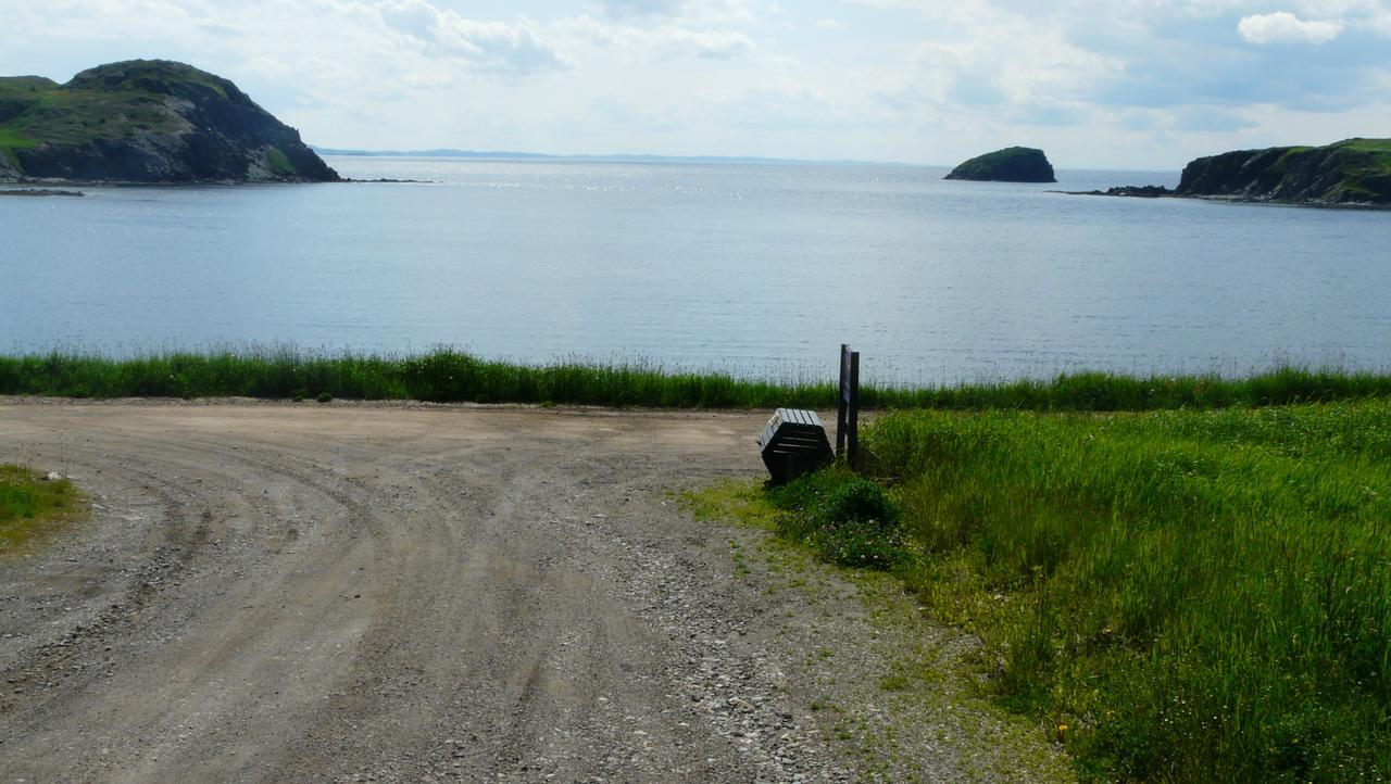 Tranquility Hill B & B Twillingate Buitenkant foto