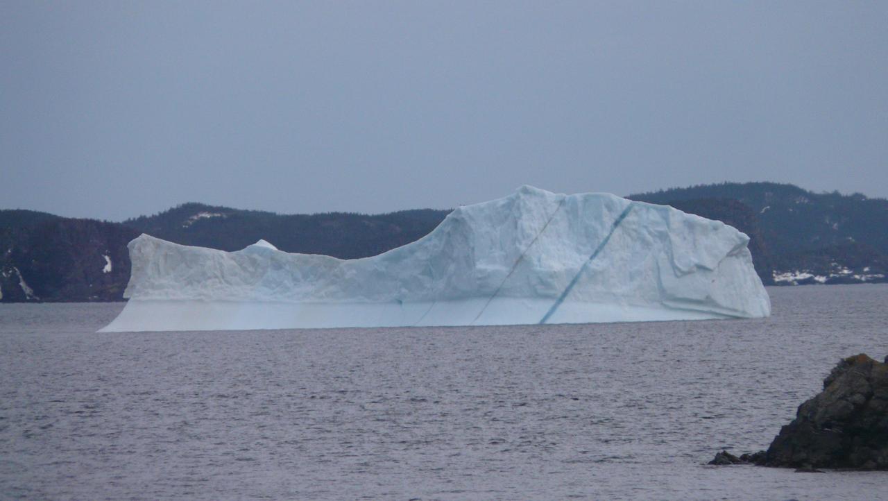 Tranquility Hill B & B Twillingate Buitenkant foto