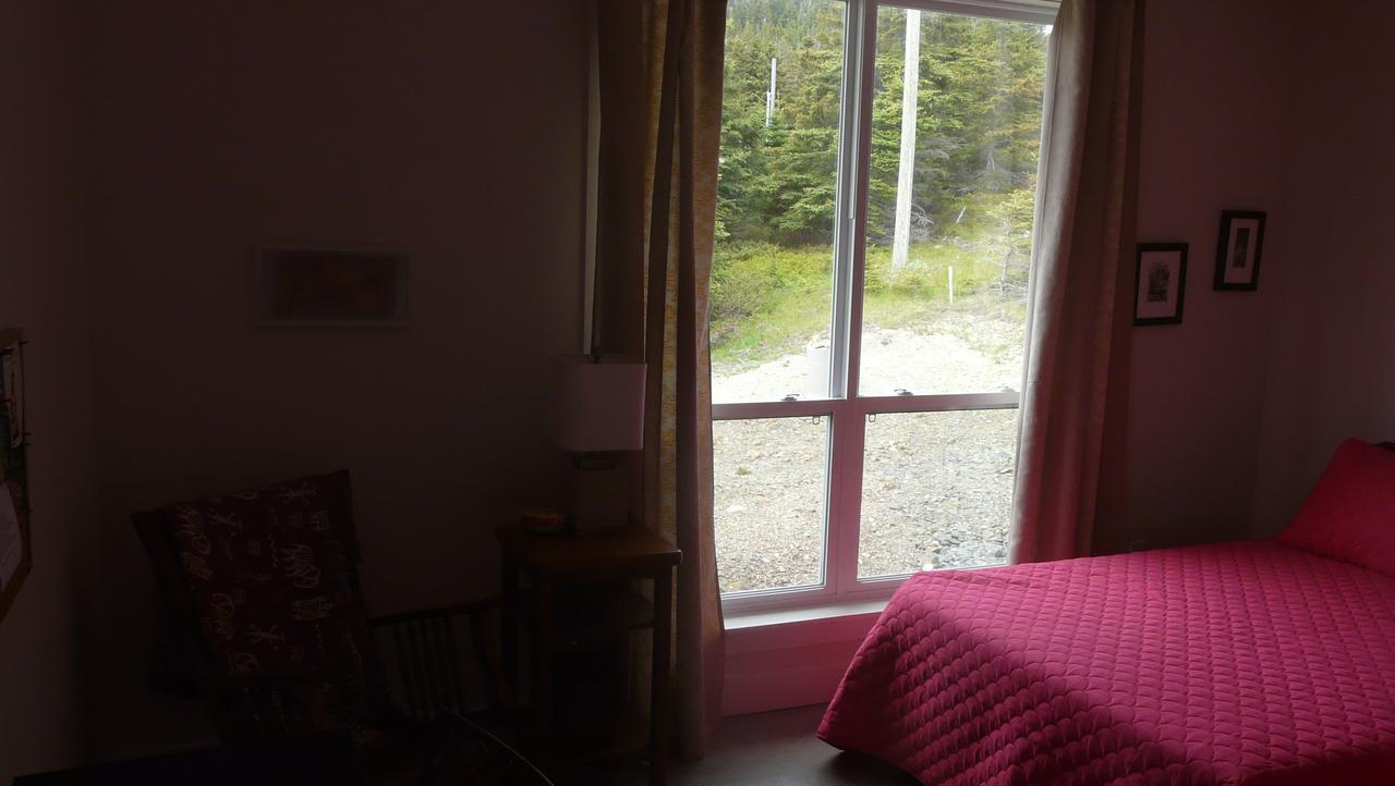 Tranquility Hill B & B Twillingate Buitenkant foto